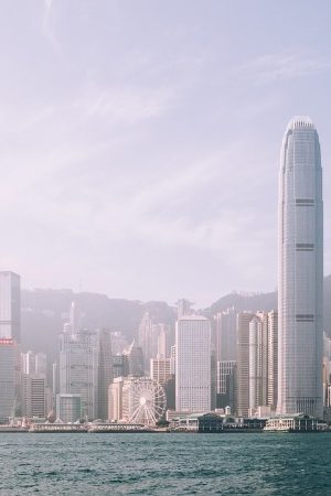 fig 06 07 2020 20 36 47 os33jx76e3jtycdyg8uihjw58l4uzgj520nmkunqms - Contact Us